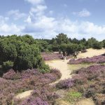 Pannenkoekenboerderij Brinkzicht Gasteren Drenthe – headerfoto 002